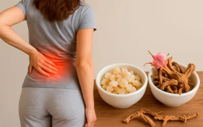 Cómo bajar el cortisol para aliviar el dolor lumbar: Boswellia serrata y Harpagofito, aliados naturales contra la inflamación